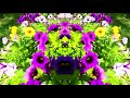 Mind Gardens by The Byrds