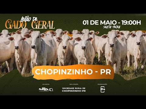 Leilão de Gado Geral, CHOPINZINHO/PR - 01/05/2026 19:00h