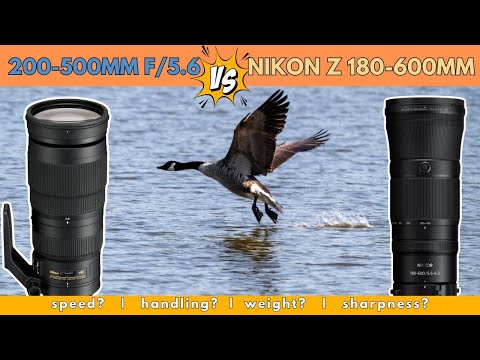 THE TELEPHOTO COMPARISON you've been waiting for: Z 180-600mm f/6.3 VR vs 200-500mm f/5.6E
