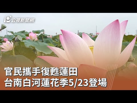 youtube影片