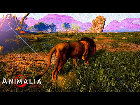 a Solo Elder lion | Animalia Survival