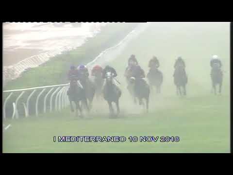 Galoppo Corse del 10 NOVEMBRE 2018