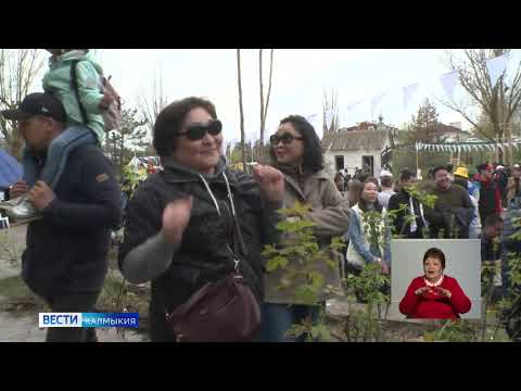 У творческой молодежи Калмыкии появилась своя Арт-резиденция