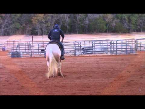 Sonic Boom Berry (NRHA, NRBC) Sold