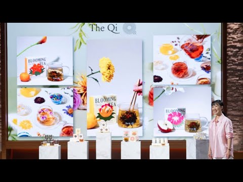 The Qi Shark Tank Pitch