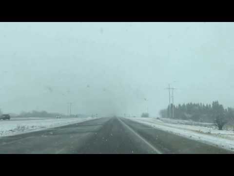 Alberta Blizzard