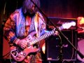 Electric Prunes - Long Day's Flight (live, 2007)