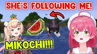 Miko and Nene's Watermelon War in Gold Rush Is Comedy Gold