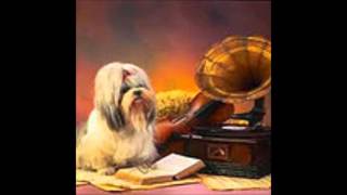 Schaam Je Toch Nooit Voor Je Handen -Willt Alberti En MAX Van Praag