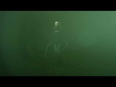 Michael Geldreich - V