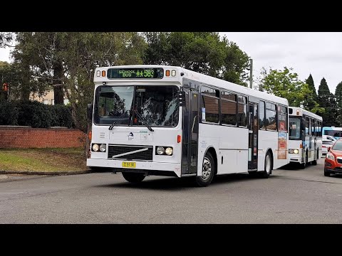 20211130 Transdev South Granville M/O 9114 - Volvo B10M MK III Volgren