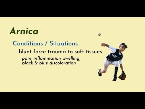 Materia Medica Series #24 Arnica montana