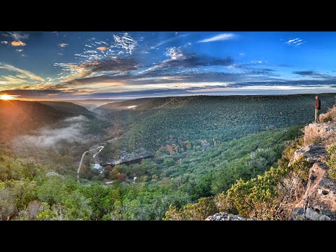 download lagu mp3 mp4 Lost Maples, download lagu Lost Maples gratis, unduh video klip Lost Maples