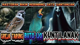 Download lagu viral!!!! Masteran kasar Greja tarung tengkek buto Kuntilanak (Ngeri tembakanya bikin merinding) mp3 Download lagu viral!!!! Masteran kasar Greja tarung tengkek buto Kuntilanak (Ngeri tembakanya bikin merinding) mp3