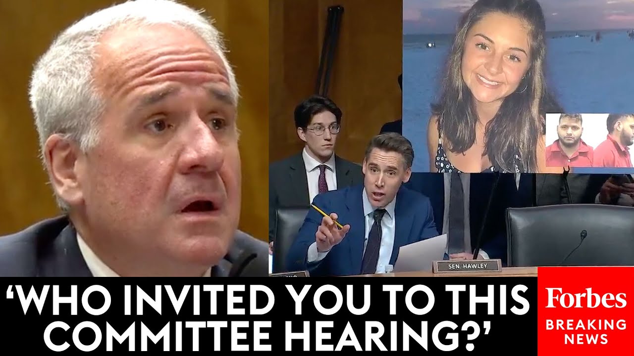 'I Can't Frankly Believe That I Am Hearing This!': Hawley Loses It On Anti-Laken Riley Act Witness