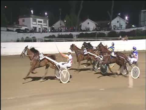 Trotto 14/07/2017 - 7ª corsa