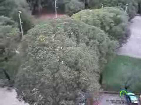 Ciklona Teodor u Puli 11.11.2013.