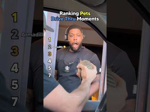 Ranking Pets Drive Thru Moments