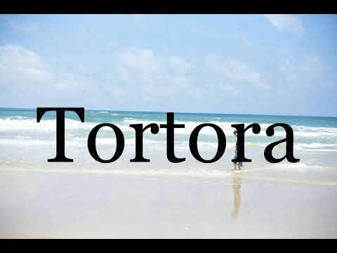 How To Pronounce Tortora🌈🌈🌈🌈🌈🌈Pronunciation Of Tortora