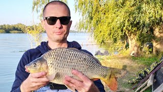 Клев рыбы в вилково