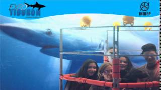 DIA 2 Expo Tiburon240