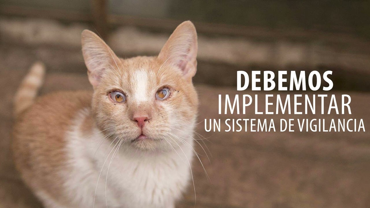 Apoya al Santuario Emilia en esta nueva etapa