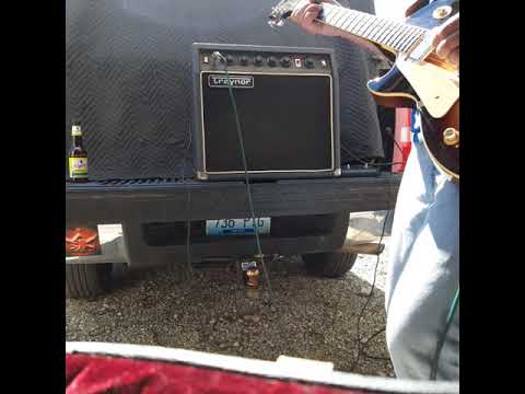 Ballsy mid-70s solid state Traynor amp w/original 12" eminence speaker