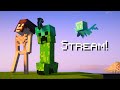 ON PASSE LES 24K EN STREAM! Minecraft | Stream