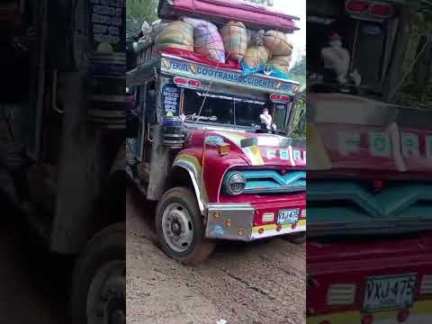 la hermosa y clásica chiva amparito bajando cargada de café en Teruel Huila, una ford #chivas #campo