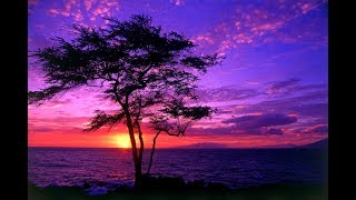 Music to Chill out: Stress Relief Music, Relaxing Music, Deep Sleep Music,  (Harmonize the Day)