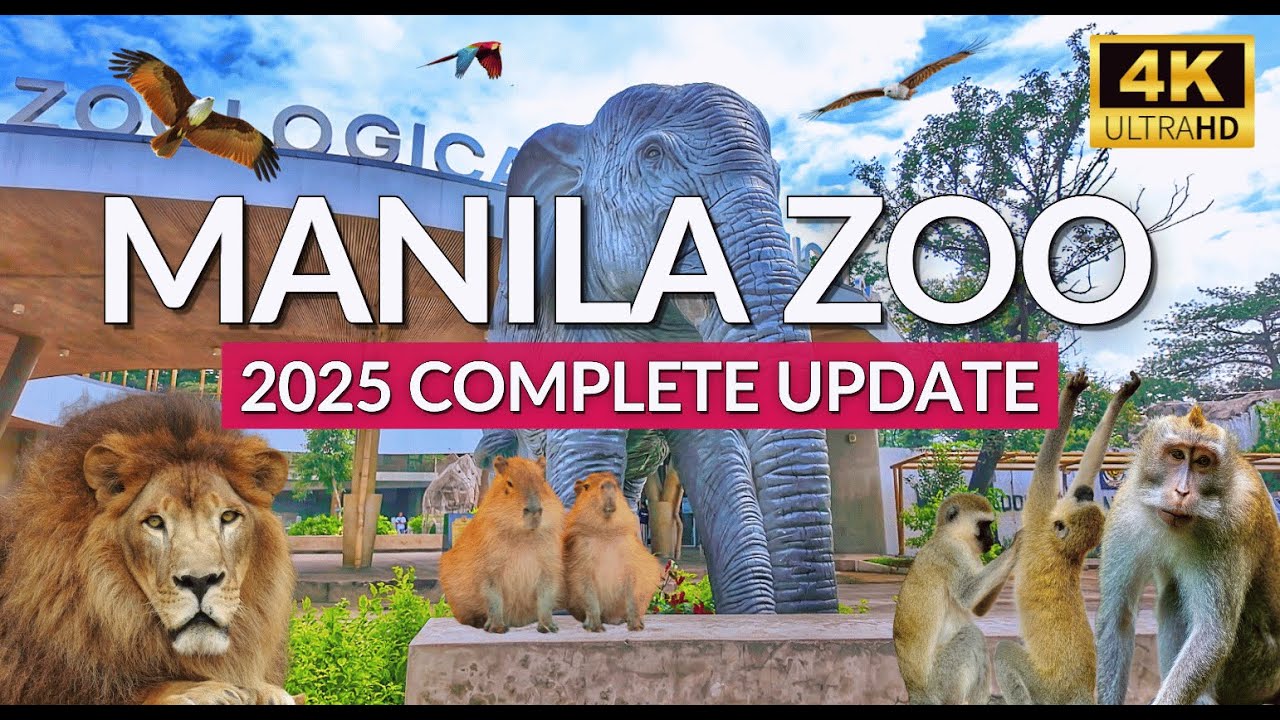 Embark on an immersive walking tour of Manila Zoo.