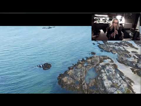 Kerry Busker B tin Whistle - Image 2