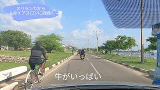 スリランカからトライアスロンに挑戦!! 番外編 国内旅行 Jaffna