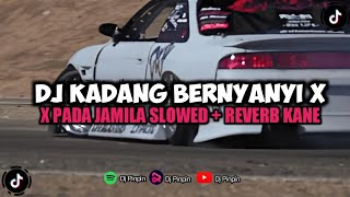 Download lagu DJ KADANG BERNYANYI X PADA JAMILA ( SLOWED REVERB ) KANE 🎧🔥 mp3 Download lagu DJ KADANG BERNYANYI X PADA JAMILA ( SLOWED REVERB ) KANE 🎧🔥 mp3