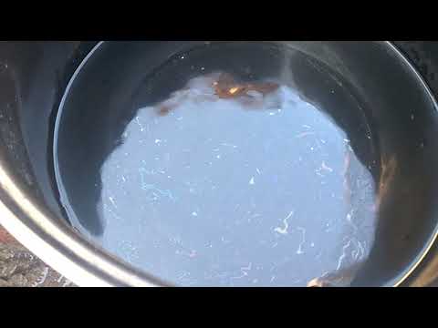 Что мы пьём?