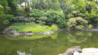 How to Place Stepping Stones for Beauty Practicality in the Garden