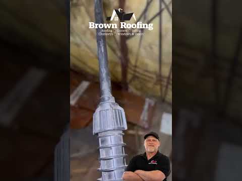 What's hiding in your attic?