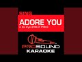 Adore You (In the Style of Miley Cyrus) (Male Karaoke Version)