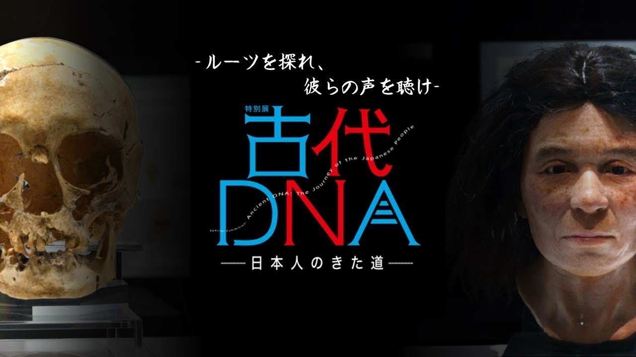 【国立科学博物館公式】日本人の起源を探る！特別展「古代ＤＮＡ―日本人のきた道―」篠田館長解説動画