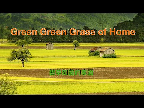 green green  grass of home ( with lyrics ) 碧草如茵的家園 ( 中文歌詞 ) / Tom Jones 湯姆瓊斯