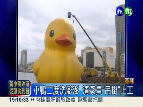 黃色小鴨洗澡 洗一半變"黑白郎君"