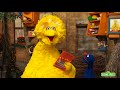 Sesame Street Celebrate Big Birds Birthday Give The Gift Of Education