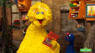 Sesame Street: Celebrate Big Birds Birthday | Give the Gift of Education