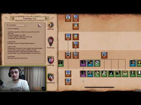 What Do You Think About Flemish Revolution tech?