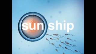 THE BRIAN JONESTOWN MASSACRE - THE SUN SHIP
