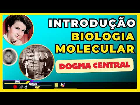 Introduction to Molecular Biology - Higher Education [Updated 2025]