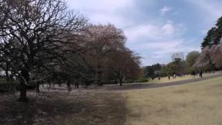 2015-04-09 In the park, Tokyo