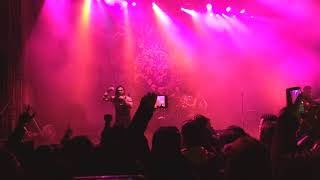 Viaje Por La Mente - Saratoga. México 2018