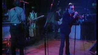 Graham Parker & The Rumour Don't Ask Me Questions, Live 1977