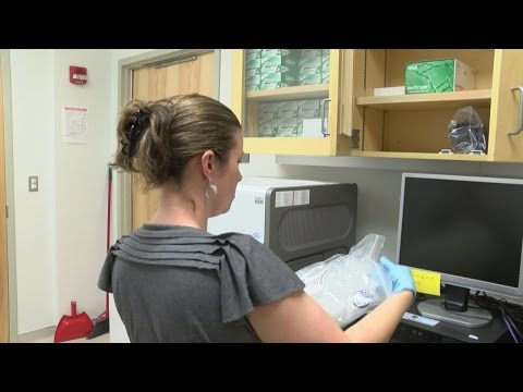 Study shows mosquitoes in Eastern NC can transmit Zika